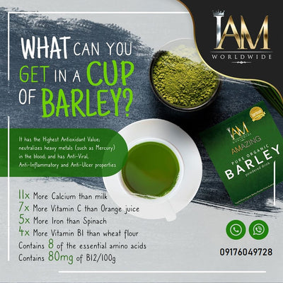 Amazing Pure Organic Barley Powder (4 Boxes)